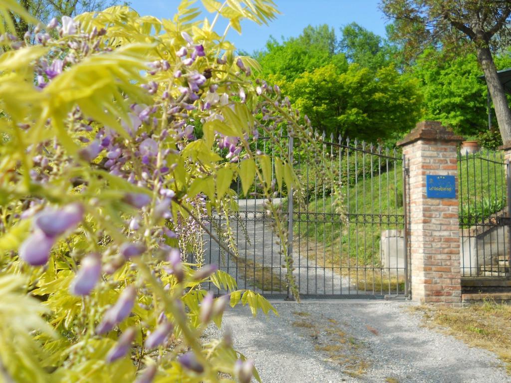 Tenuta Calabiana Diano dʼAlba Rum bild