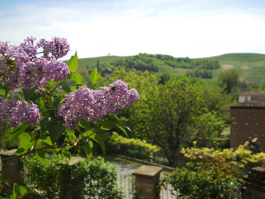 Tenuta Calabiana Diano dʼAlba Rum bild