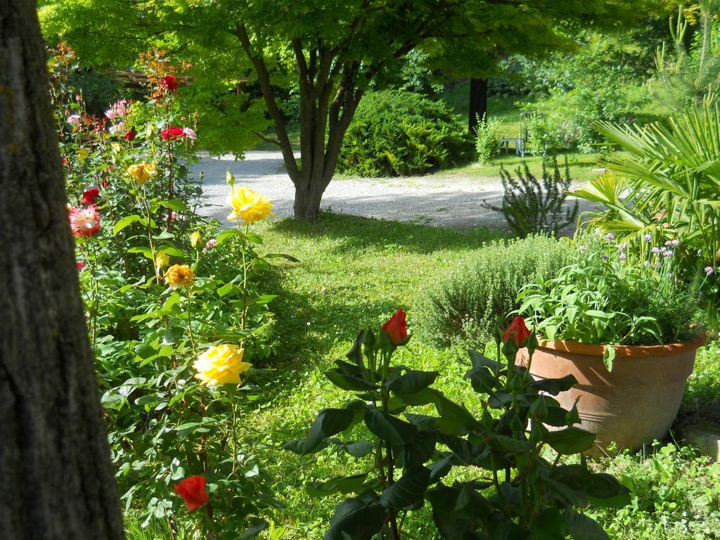 Tenuta Calabiana Diano dʼAlba Rum bild