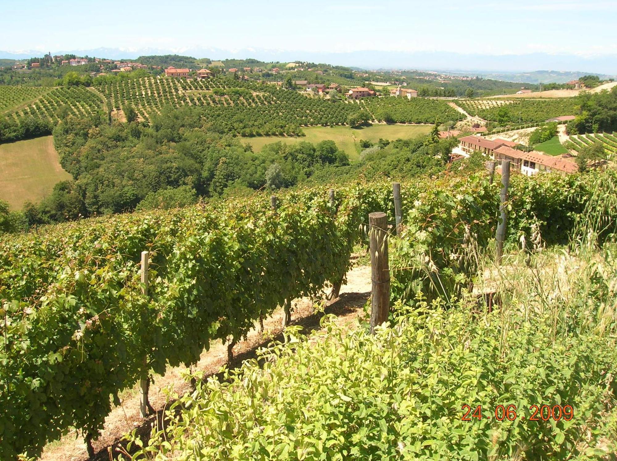 Tenuta Calabiana Diano dʼAlba Exteriör bild