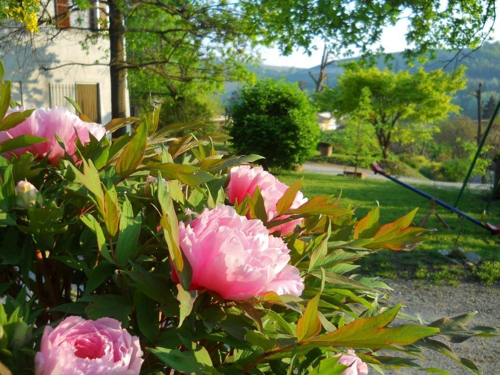 Tenuta Calabiana Diano dʼAlba Rum bild